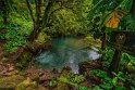 123 Rio Celeste